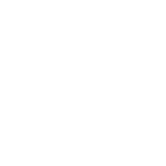Logo VDS